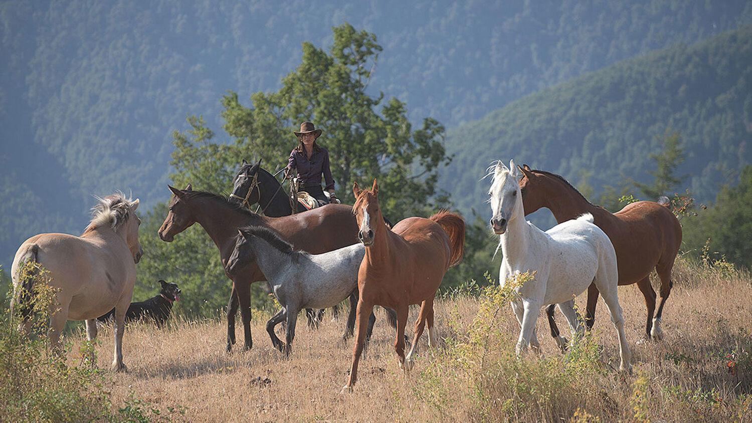 PlaceholderImage1302